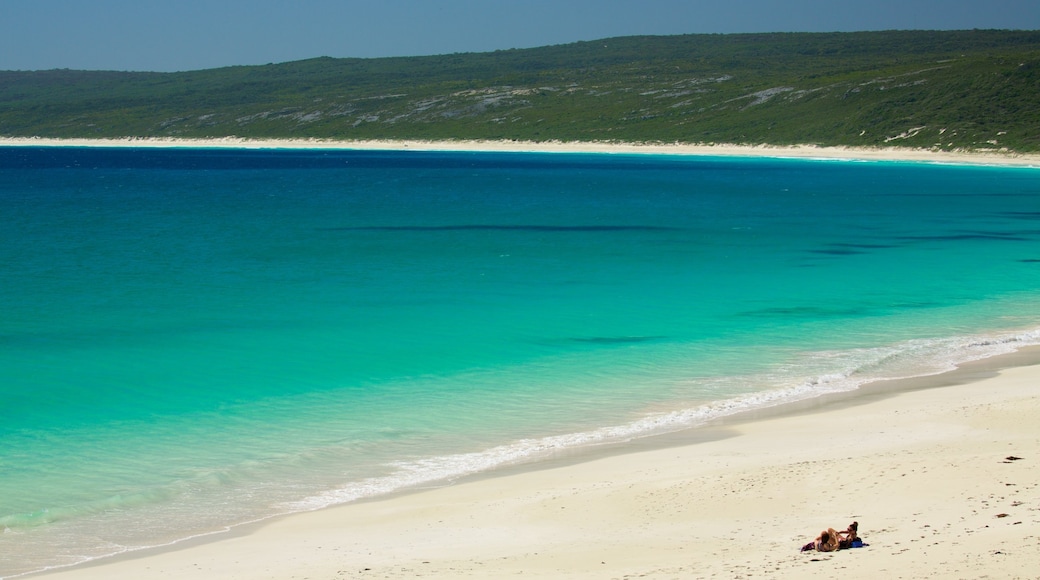 Karridale mit einem Bucht oder Hafen, Sandstrand und allgemeine Küstenansicht