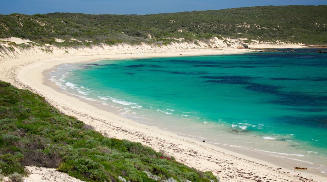 Karridale which includes a bay or harbor, general coastal views and a sandy beach