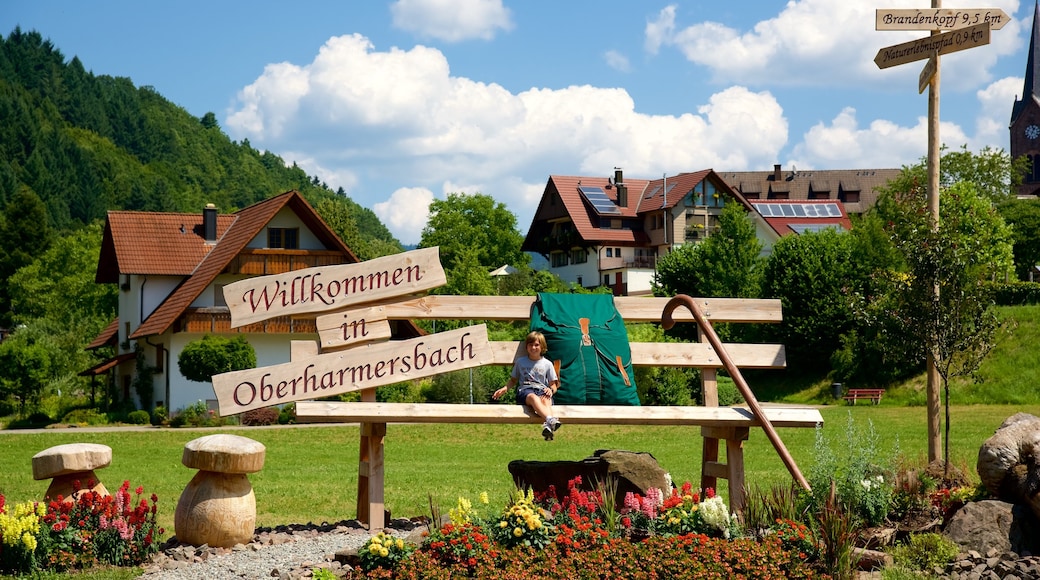 Baden-Wuerttemberg featuring a small town or village and signage