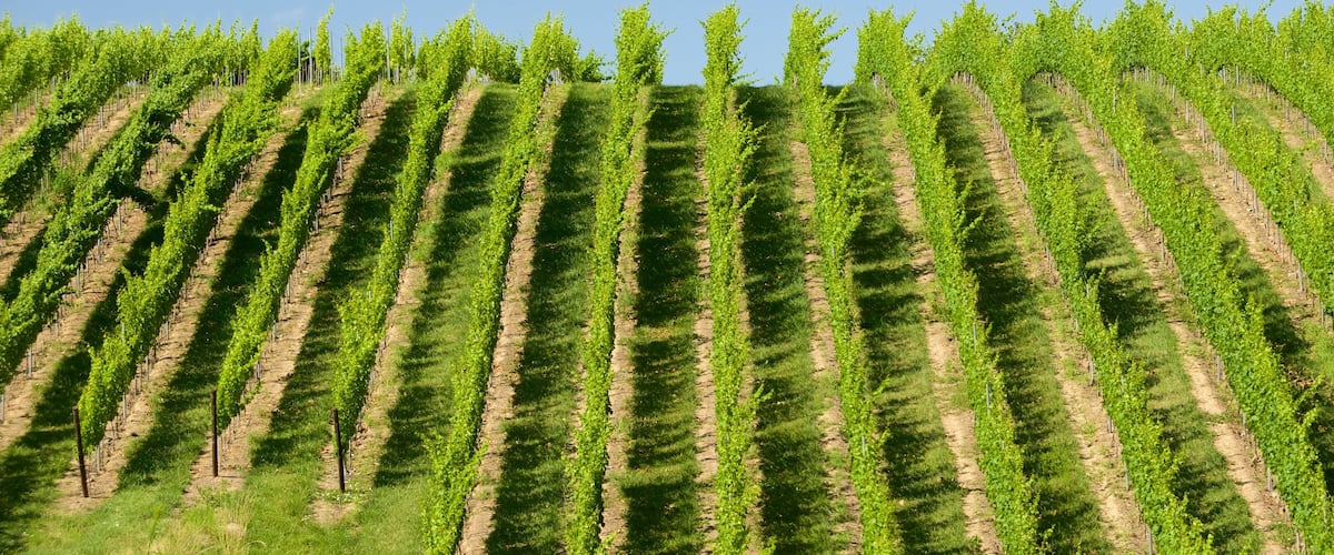 Sachsen mit einem Farmland