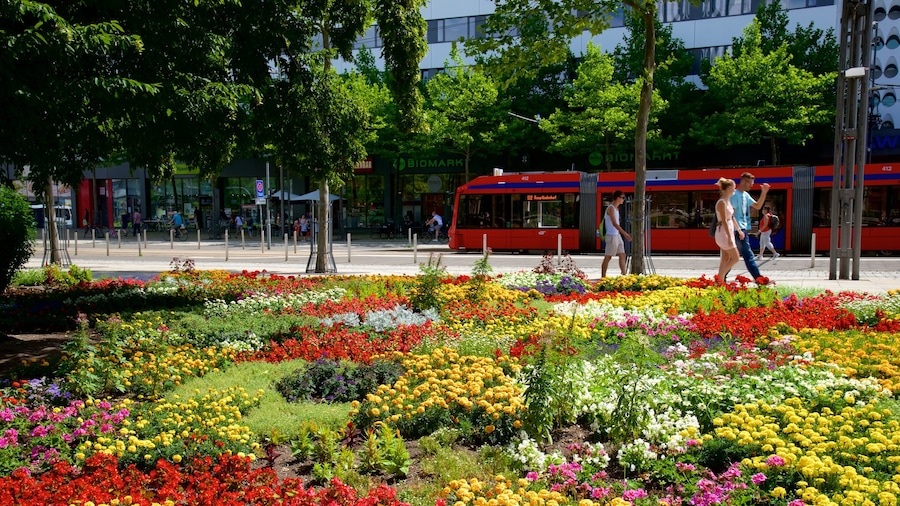 Chemnitz which includes a square or plaza and flowers