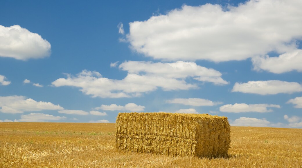 Sachsen mit einem Farmland