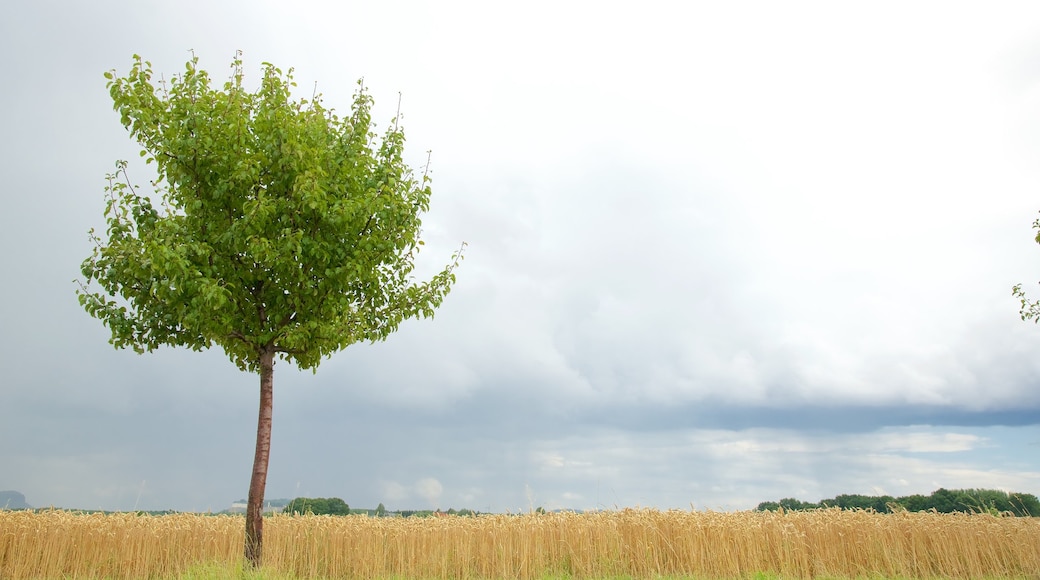 Saxony which includes farmland