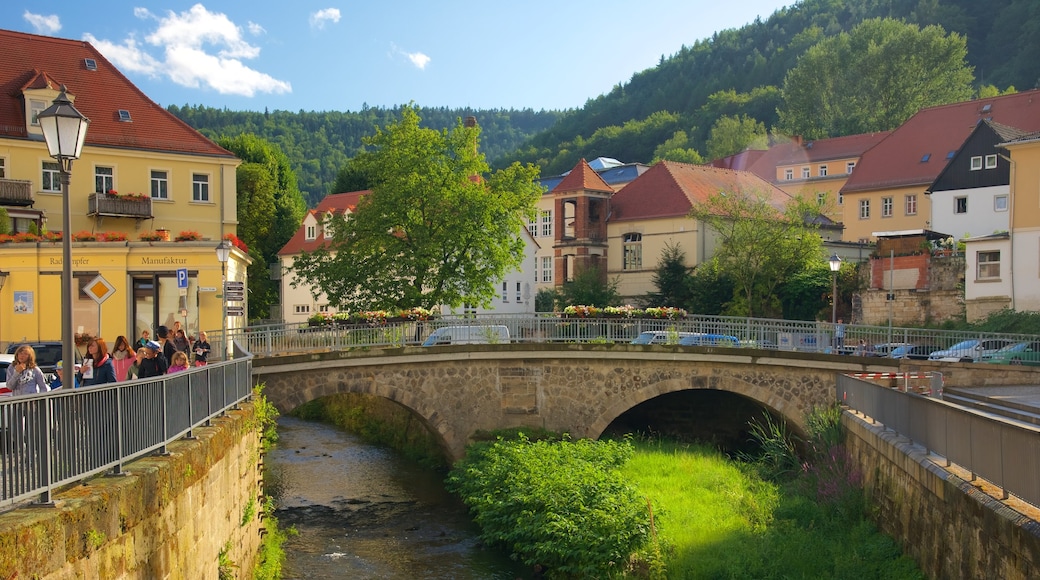 Koenigstein showing a small town or village