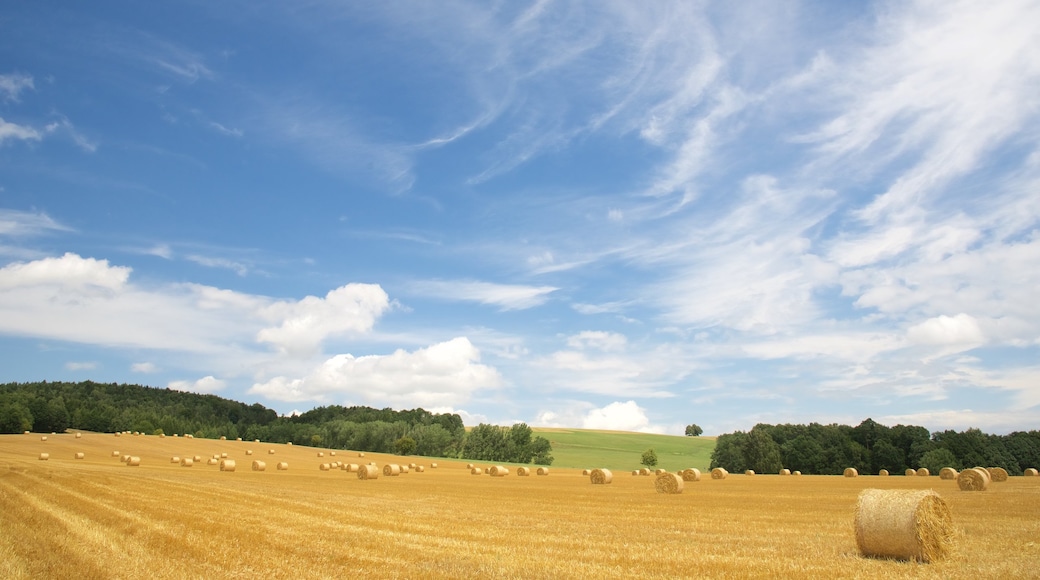 Saxony featuring farmland