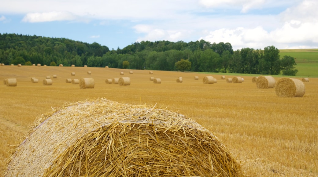 Sachsen mit einem Farmland