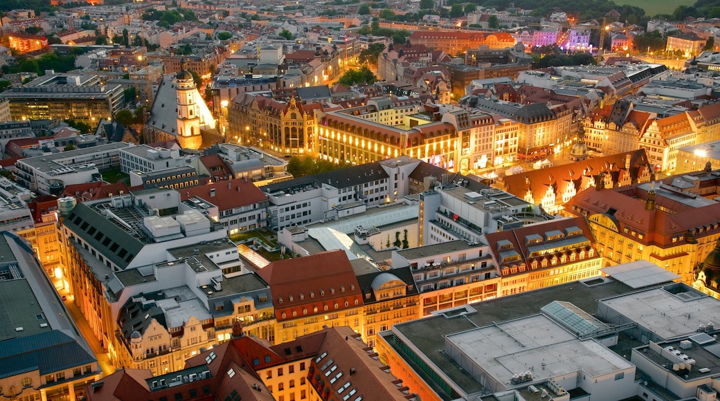 Leipzig which includes night scenes and a city