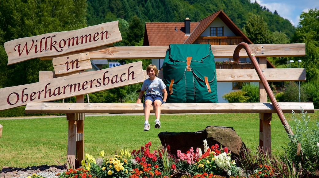 Black Forest which includes signage