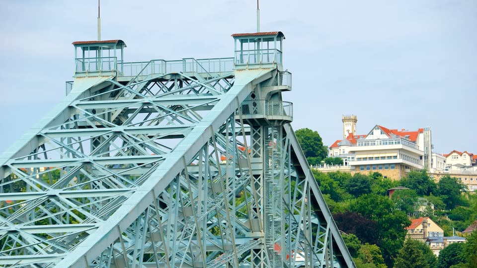 Blue Wonder Bridge showing a bridge and skyline