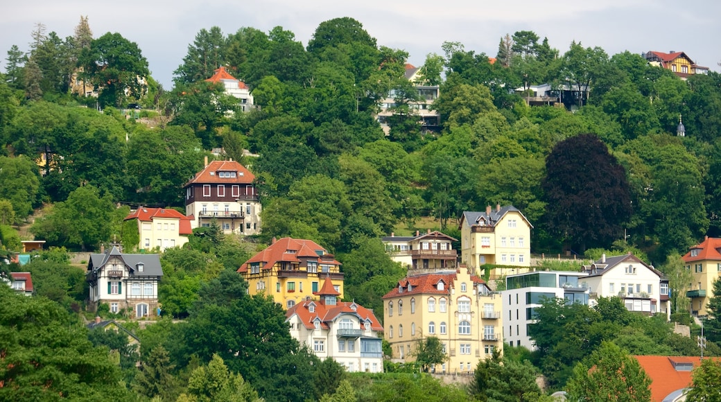 Dresden showing a small town or village