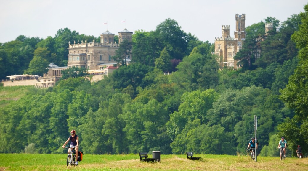 Dresden showing a castle and cycling