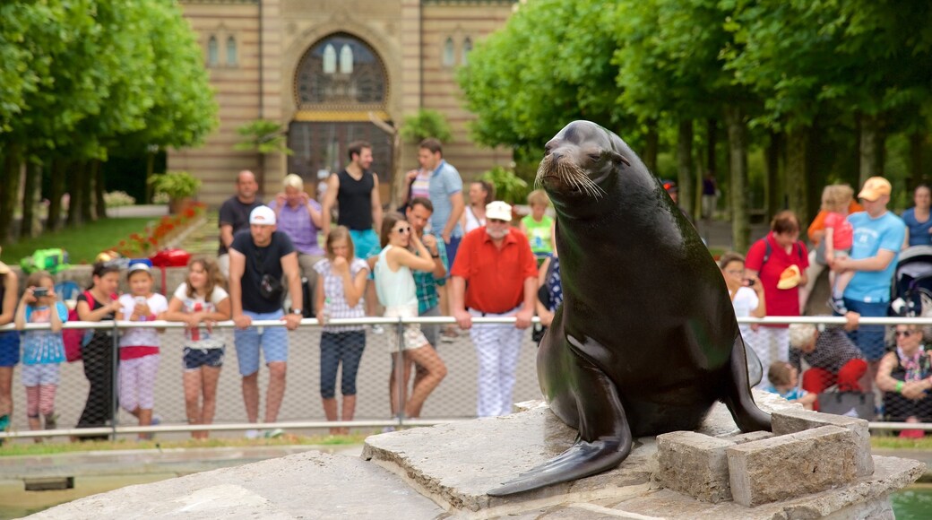 Stuttgart featuring marine life as well as a large group of people