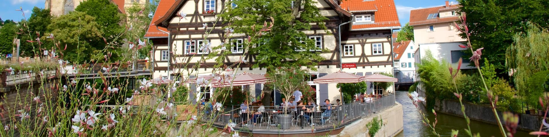 Esslingen showing a river or creek