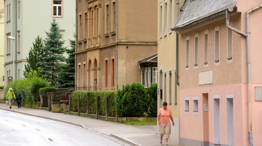 Koenigstein showing street scenes