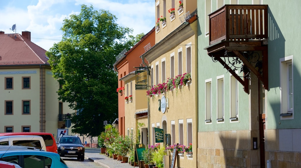 Koenigstein showing street scenes