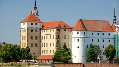 Torgau which includes chateau or palace