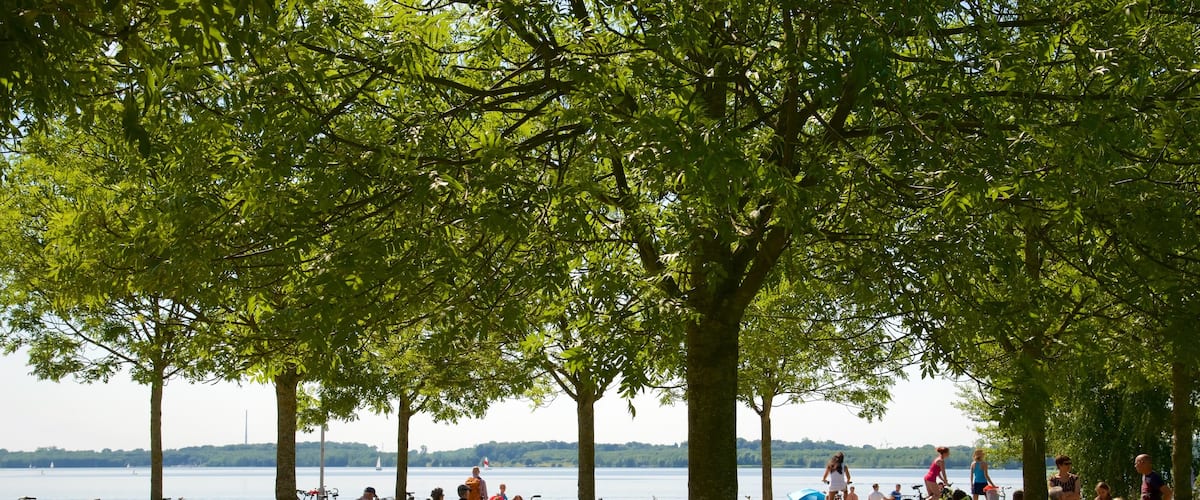 Lago Cospudener que incluye un río o arroyo y ciclismo
