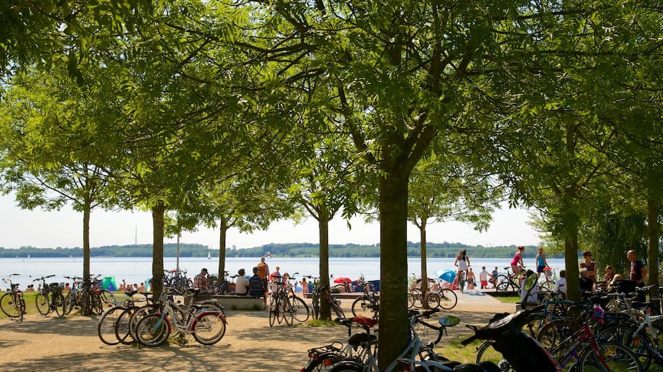 Cospudener-sjön presenterar en Ä eller flod och cykling