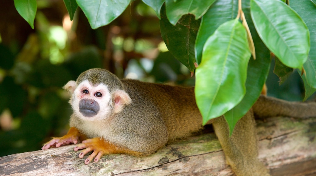 Zoo Leipzig mit einem Tiere