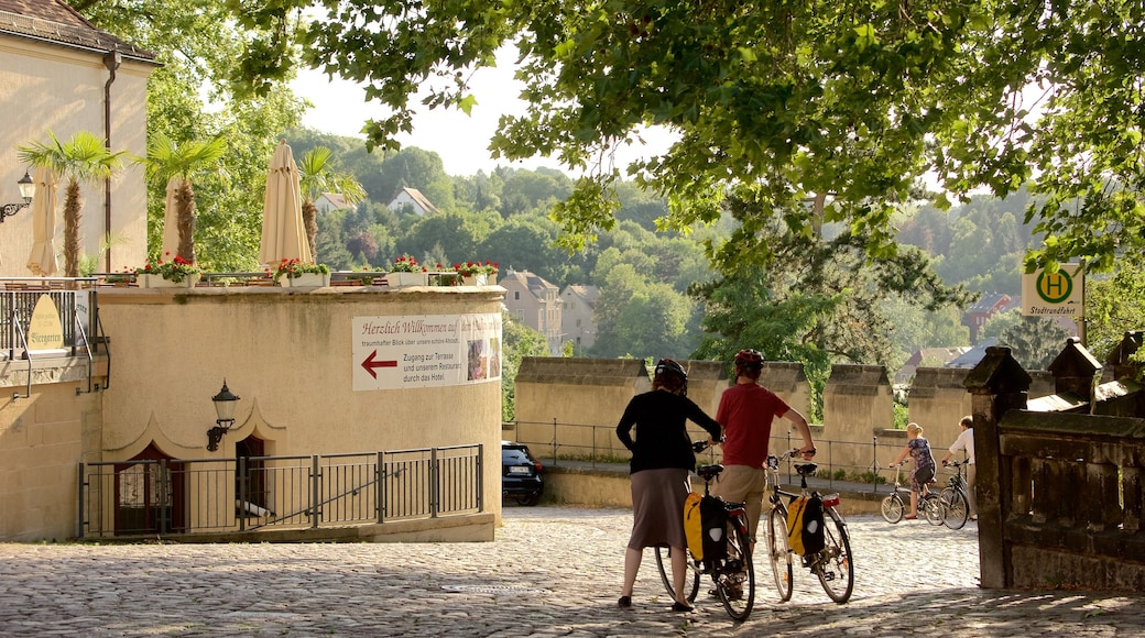Meissen ofreciendo escenas urbanas y ciclismo