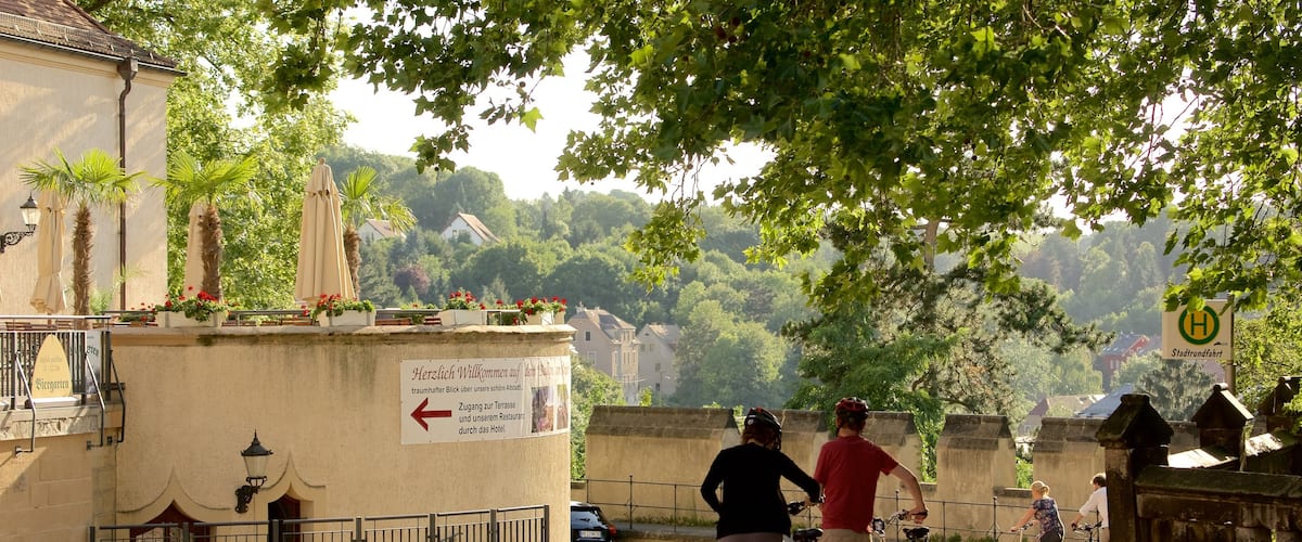 Meissen featuring street scenes and cycling