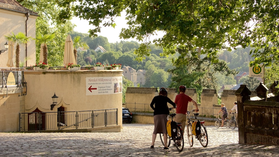 Meissen que incluye ciclismo y imágenes de calles