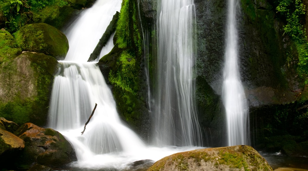 Triberg im Schwarzwald showing a waterfall