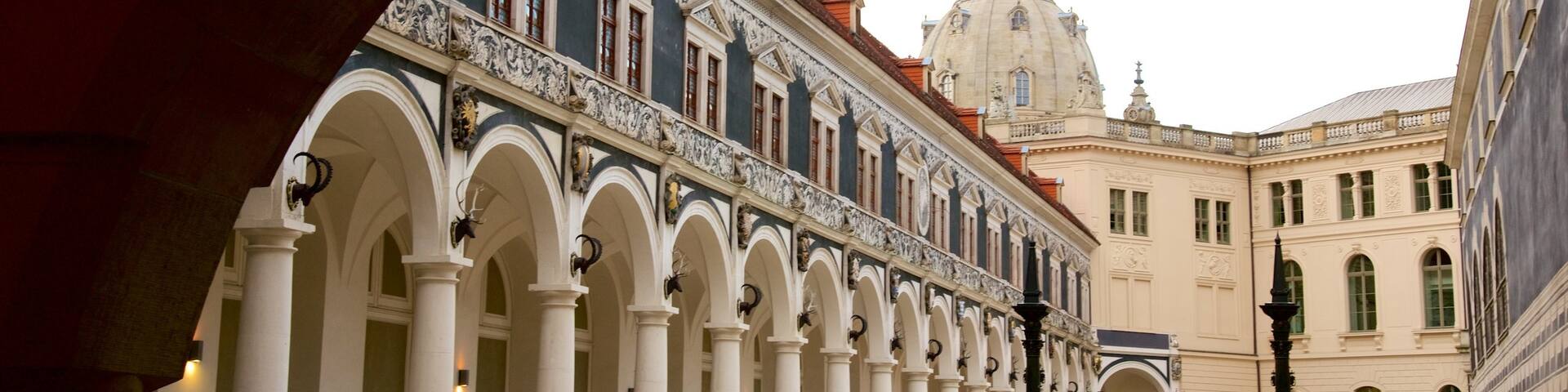 Dresden Castle which includes street scenes