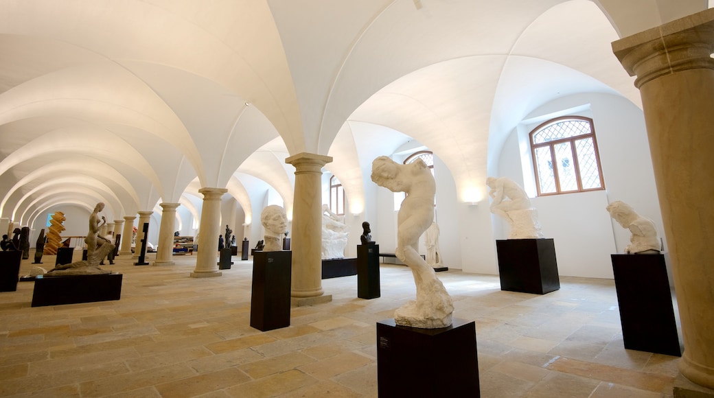 Albertinum che include vista interna e arte