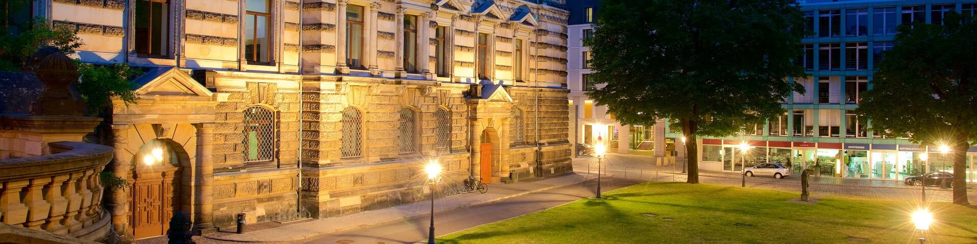 Albertinum featuring a city, night scenes and a garden