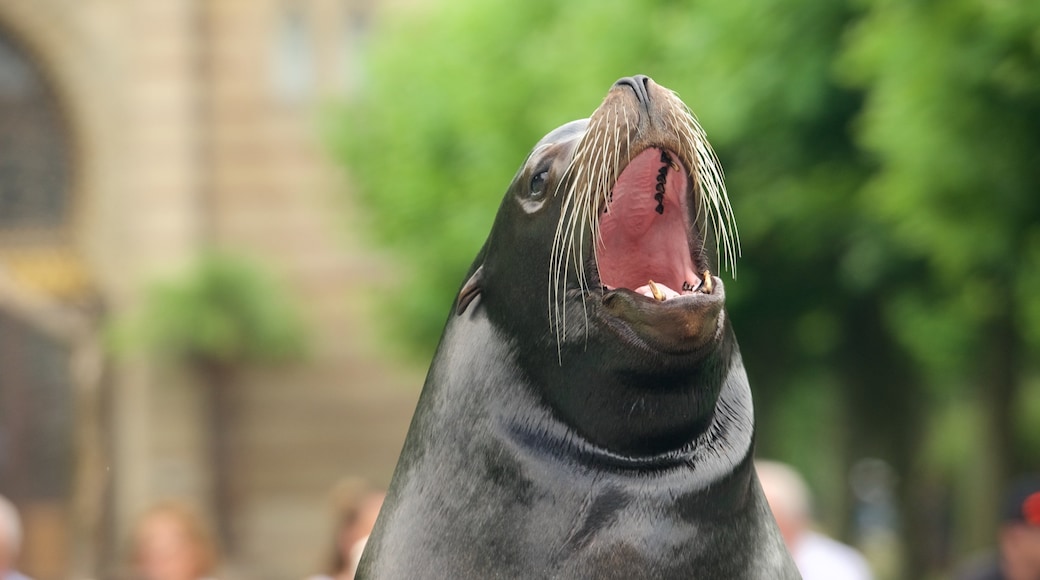 Zoo Stuttgart mit einem Meeresbewohner und Zootiere