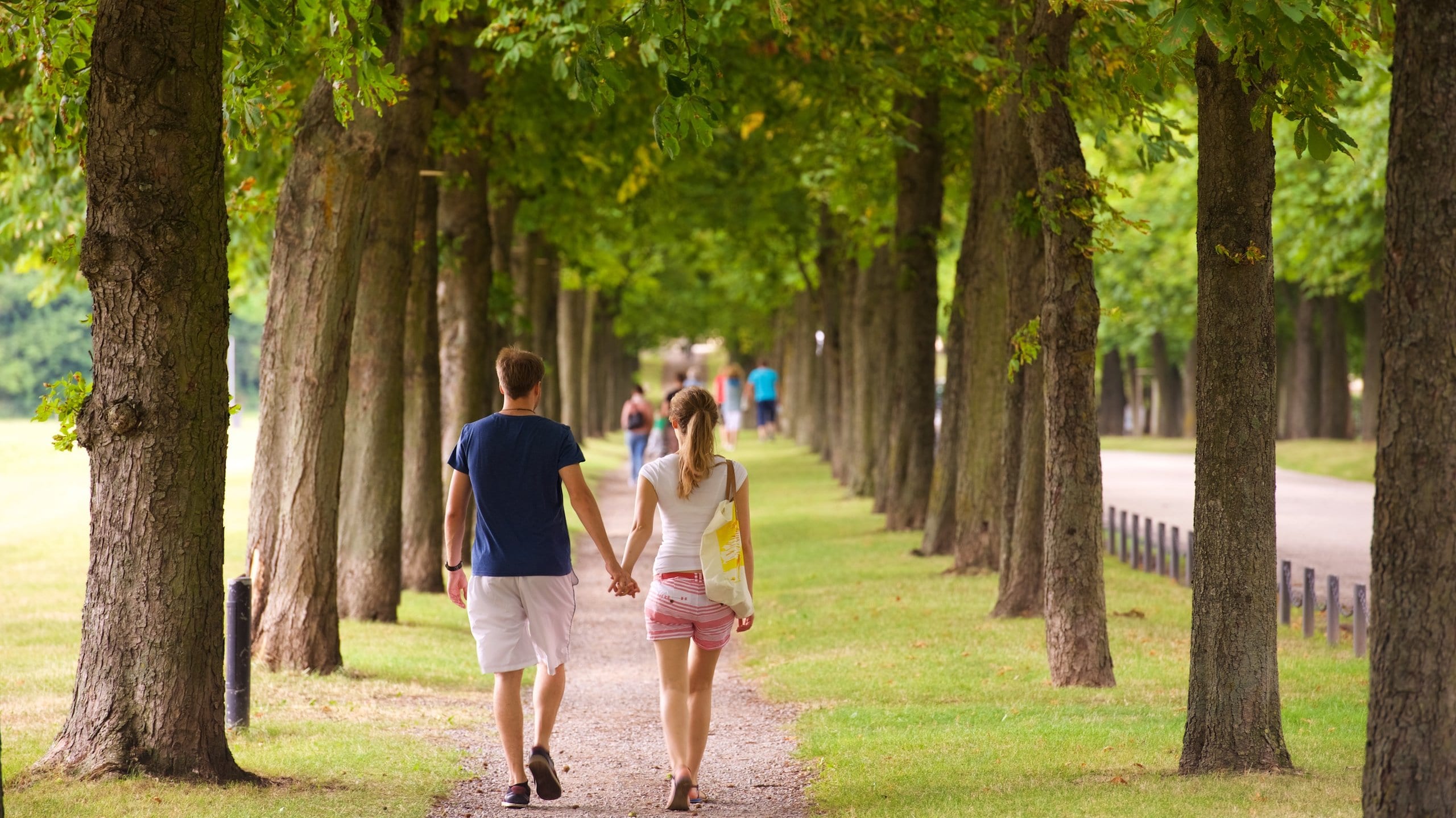 Schillerplatz showing a garden as well as a couple