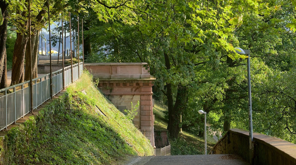 Schlossberg featuring a garden