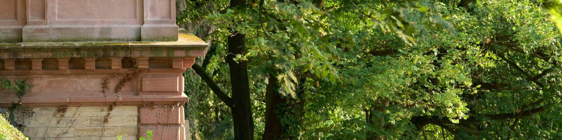 Schlossberg featuring views and a park