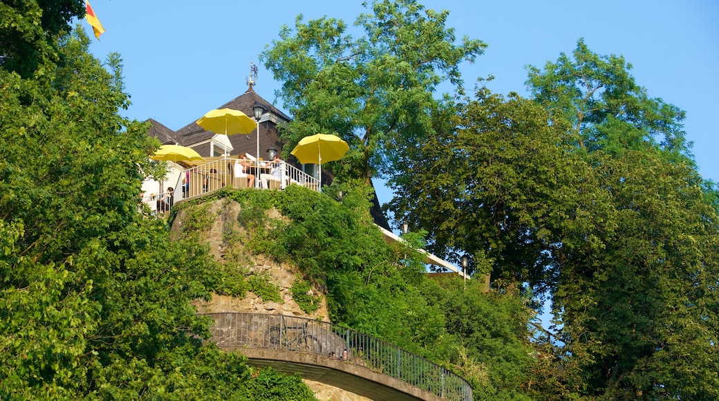 Mont du Château qui includes parc et vues