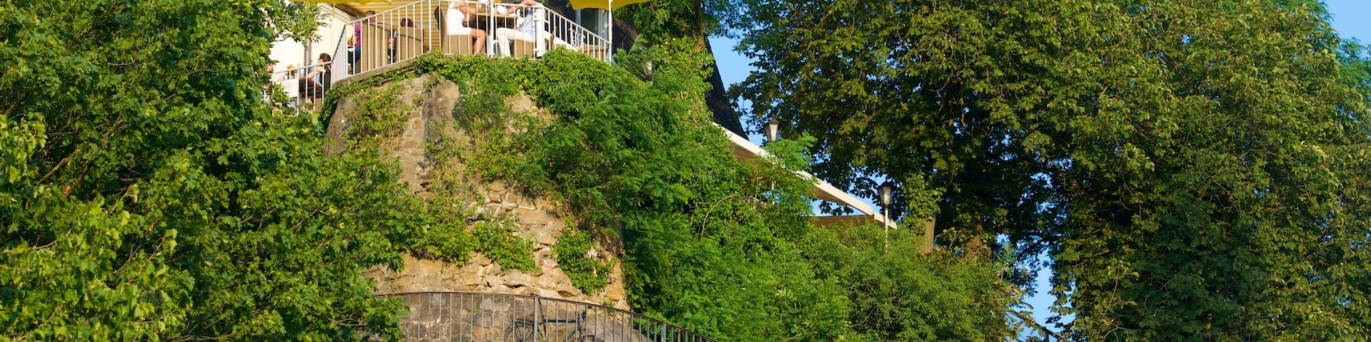 Schlossberg featuring views and a garden