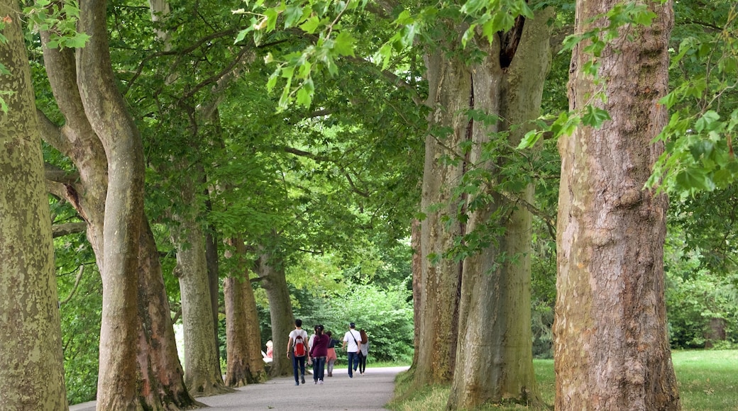 Île de Mainau mettant en vedette parc