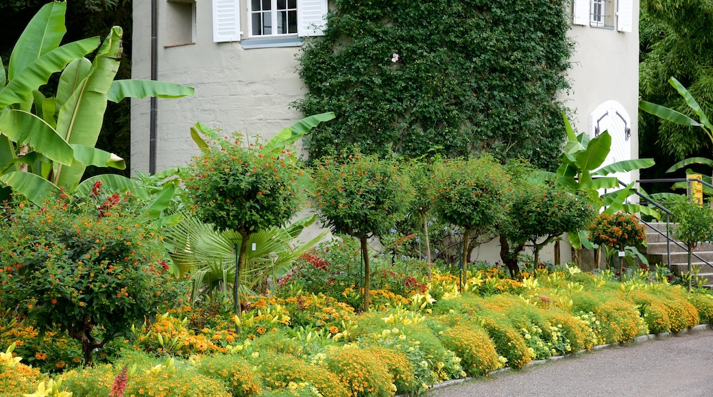 Mainau Island som viser en have