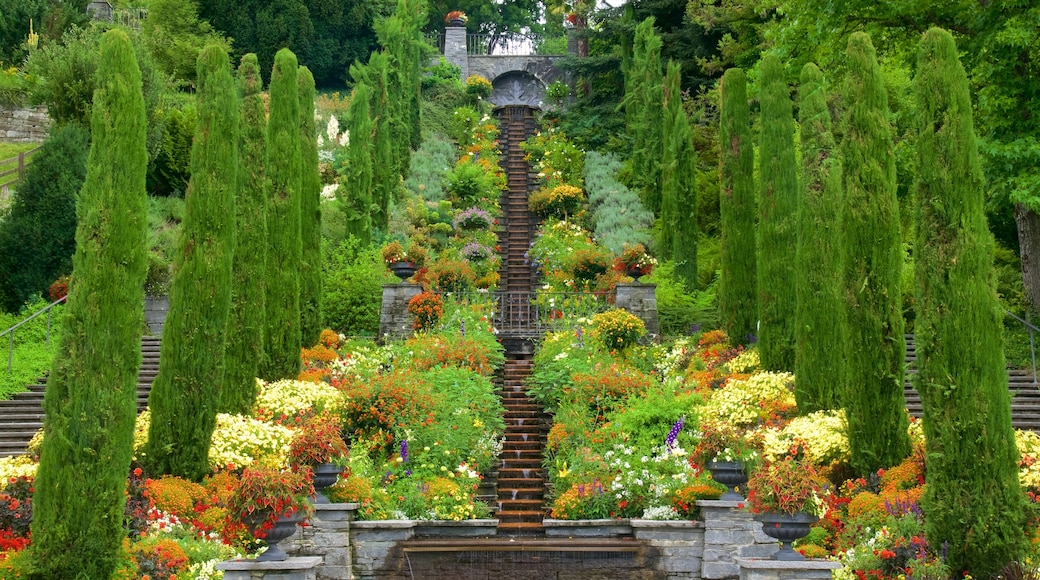 Mainau-ön som inkluderar en park