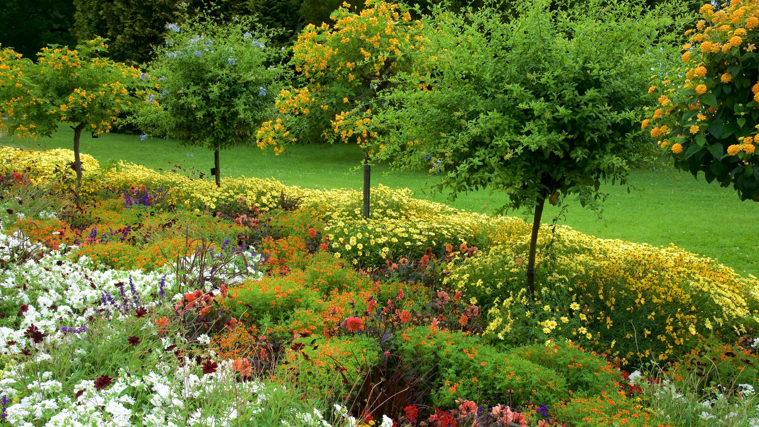 マイナウ島 コンスタンツ エクスペディア