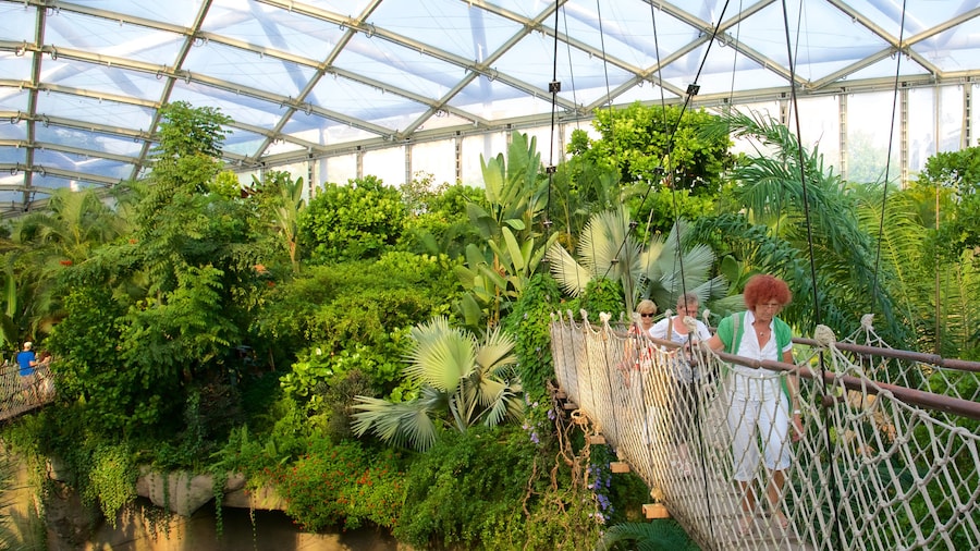 Kebun Binatang Leipzig