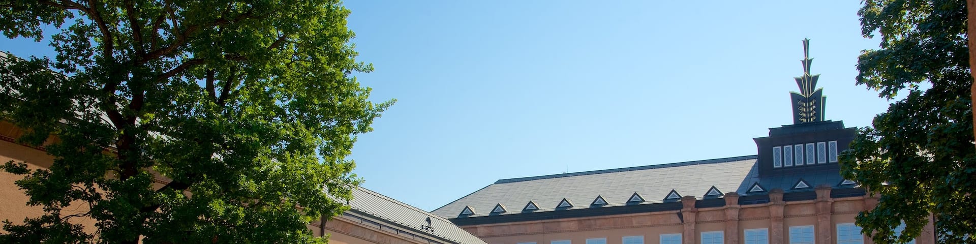 Musée Grassi qui includes jardin