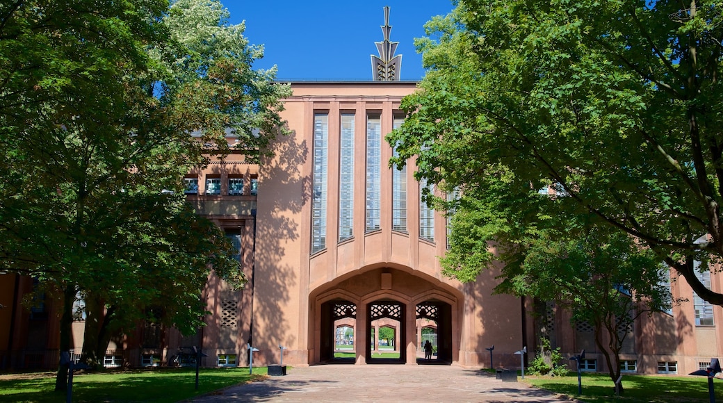 Grassi Museum showing a garden