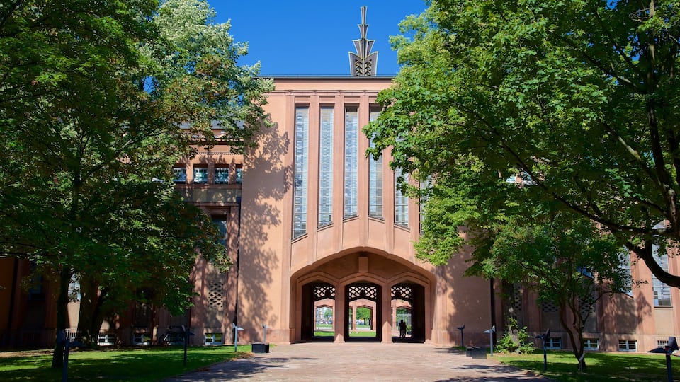 Grassi Museum toont een tuin