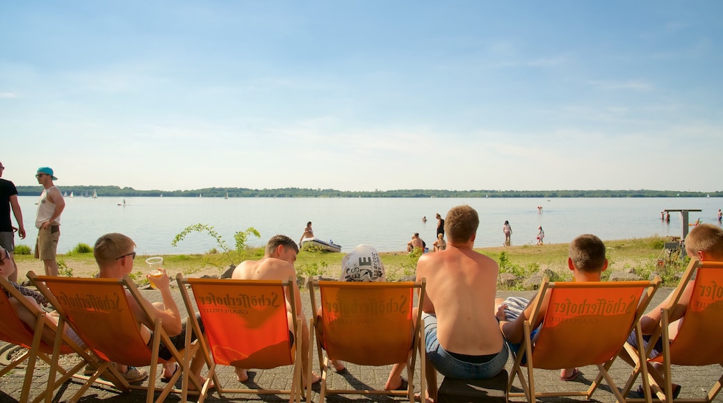 Cospudener Lake showing a beach as well as a large group of people