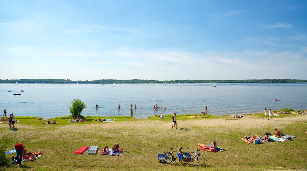 Cospudener Lake featuring a lake or waterhole as well as a large group of people