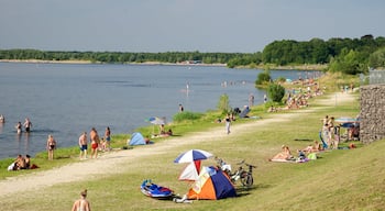 Cospudener-sjön som visar en sjö eller ett vattenhål såväl som en stor grupp av människor