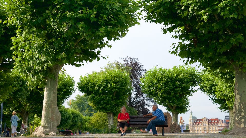 Constance Harbor showing a garden as well as a small group of people