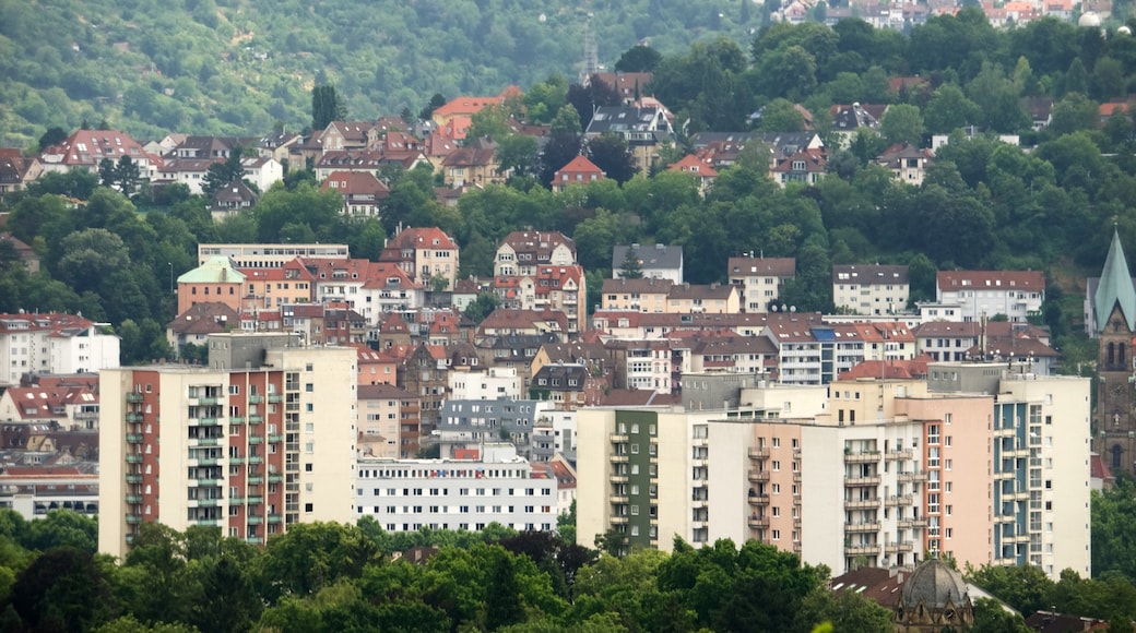 Weissenhof Museum showing a city and landscape views