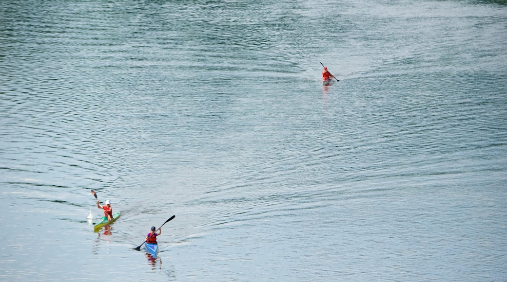 Dresden das einen See oder Wasserstelle und Kajak- oder Kanufahren sowie kleine Menschengruppe